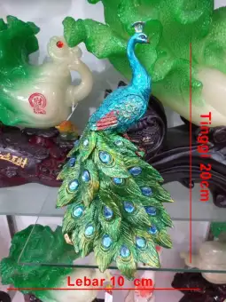 6200 Gambar Burung Merak Untuk Sepeda Hias Terbaik