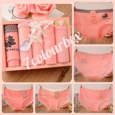 7ColourBox Celana Dalam Box Underwear Brief Wanita Cute Korean Style - M ( 5 )