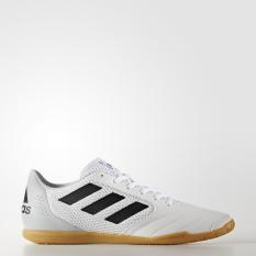 Adidas Sepatu Futsal ACE 17.4 Sala - BY1956