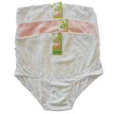 Agree Celana Dalam Hamil Mamabel H500 - 3pcs - Multi Colour