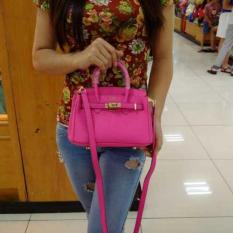 Birkin Togo Mini