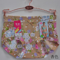 Caitian Nyaman Serat Super Tipis Elegan Wanita Pakean Dalam Pria Pinggang Celana Celana Boxer (Krem)