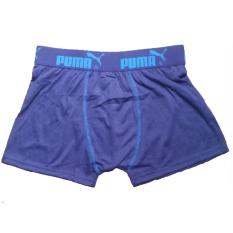 Celana Dalam Pria Boxer/Sempak/Underwear/Pakaian Dalam Boxer Size L (tosca)