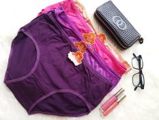 Celana Dalam Wanita 1 Lusin Harga Murah Bahan Kutton CD Lusinan