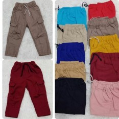 Celana PDL Anak - Warna Random