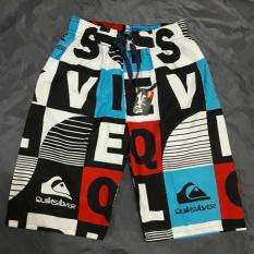 Celana Pendek Surf Distro Surfing Quiksilver Ripcurl Dc Billabong - C6abbb
