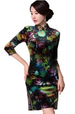 Tradisional Cina Bunga Lukis Dicetak Ramping Beludru Cheongsam Gaun 260-Internasional-Internasional