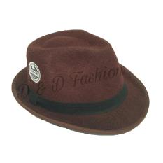 D & D Fashion Fedora Hat For Kids / Topi Fedora Anak – Coklat Tua