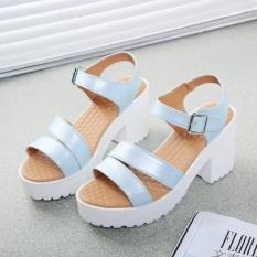 Penjualan Langsung Pabrik Wanita Musim Panas Sepatu Putih Hitam Fashion Platform Soft PU Sandal Wanita Bertumit Tinggi Sepatu Tebal Heel Sandal (Biru)