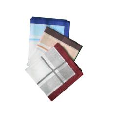 Gudang Fashion - Sapu Tangan Buat Pria - Multi Colour