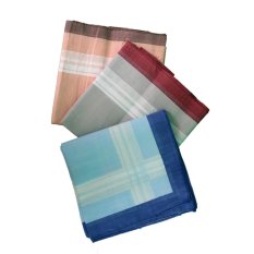 Gudang Fashion - Sapu Tangan Pria - Multi Colour