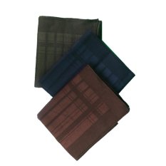 Gudang Fashion - Sapu Tangan Pria Rapih - Multi Colour