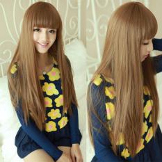 HAIRCLIP SMOOTHING 60CM LIGHT BROWN