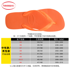 Havaianas Sandal Warna Warni Huruf Ren Netral Pria dan Wanita