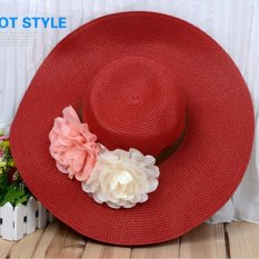 Panas Wanita Topi Bungan Wanita Besar Di Sepanjang Topi Anyaman Musim Panas Pantai Matahari Topi Warna Merah-Intl