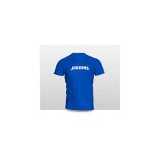 Kaos Baju Pakaian Jacksonville Jaguars Wordmark Logo 1 ( 2009 - 2012 )