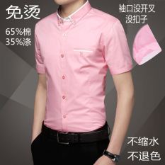 Korea Modis Gaya Musim Panas Ramping Bisnis Kemeja Kemeja (Merah Muda Warna 9811 Doesn 'T Need untuk Disetrika) baju Atasan Kaos Pria Kemeja Pria