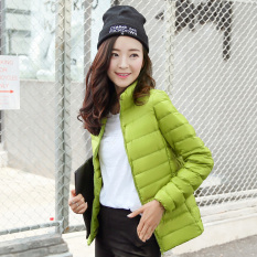 Lan Nai Anak Jaket Bulu Angsa Model Baru Kerah Berdiri Jaket Bulu Angsa Gaya Korea Ringan dan Tipis