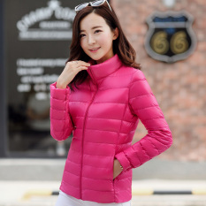 Lan Nai Anak Jaket Bulu Angsa Model Baru Kerah Berdiri Jaket Bulu Angsa Gaya Korea Ringan dan Tipis