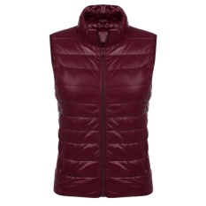 MS Harga Clearance Women's Musim Dingin Hangat Berdiri Kerah Risleting Hingga Bergaris Ringan Quilted Rompi (Merah)-Internasional