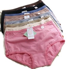 Oleno Yadaili Midi Panty - Multicolor - 6 Pcs
