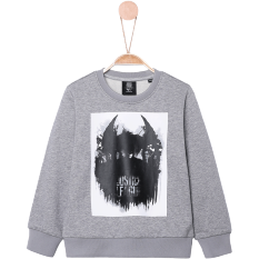 Septwolves Seri Tema Anak-anak Leher Bulat Lengan Panjang Kaos Sweater (Bunga Abu-abu)