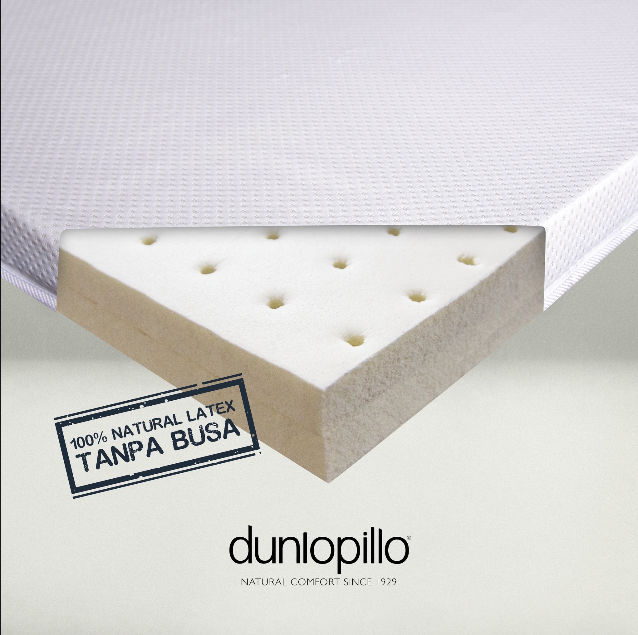 Dunlopillo Latex Topper 2.5 cm ( 200 x 120) Alas Tempat Tidur Lazada