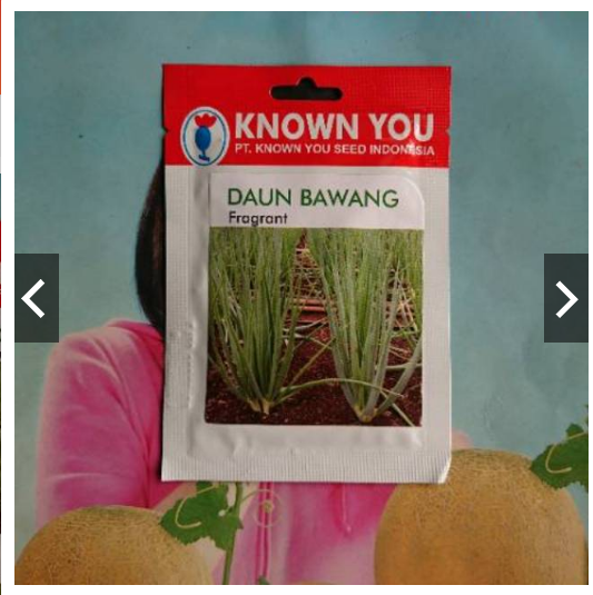 Jual Produk Kebun Bibit Terbaru | lazada.co.id