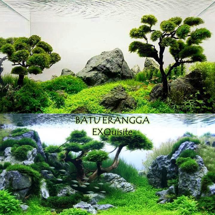  Aquascape  Tema Bonsai  Dan  Batu  Pasir gatepla