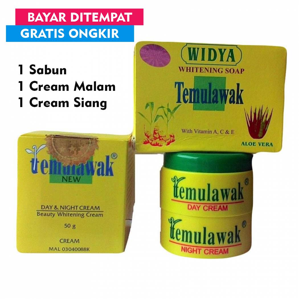 Temulawak New 3in1 Paket Cream Temulawak 3in1 New Original 