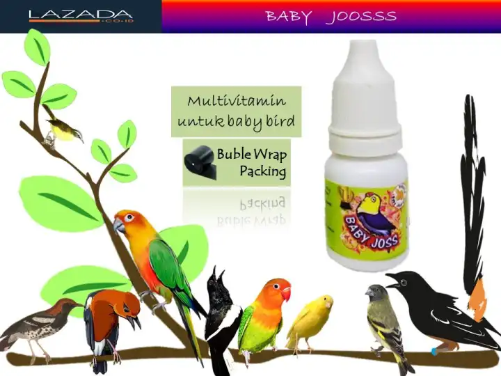 Jual Vita Plex B Vita Plex Vitaplex Kaplet Vitamin B Kompleks Burung Kota Tegal Kios Mungil Berkah Tokopedia