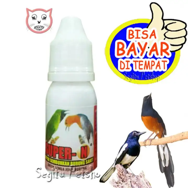 Obat Vitamin Burung Kicau Super N Lazada Indonesia