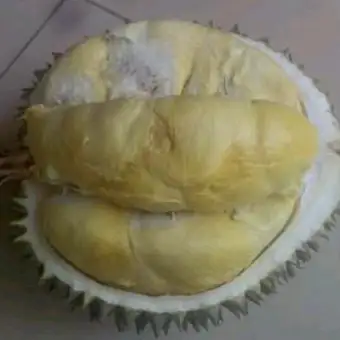 Unduh 96+ Gambar Durian Cumasi  Gratis