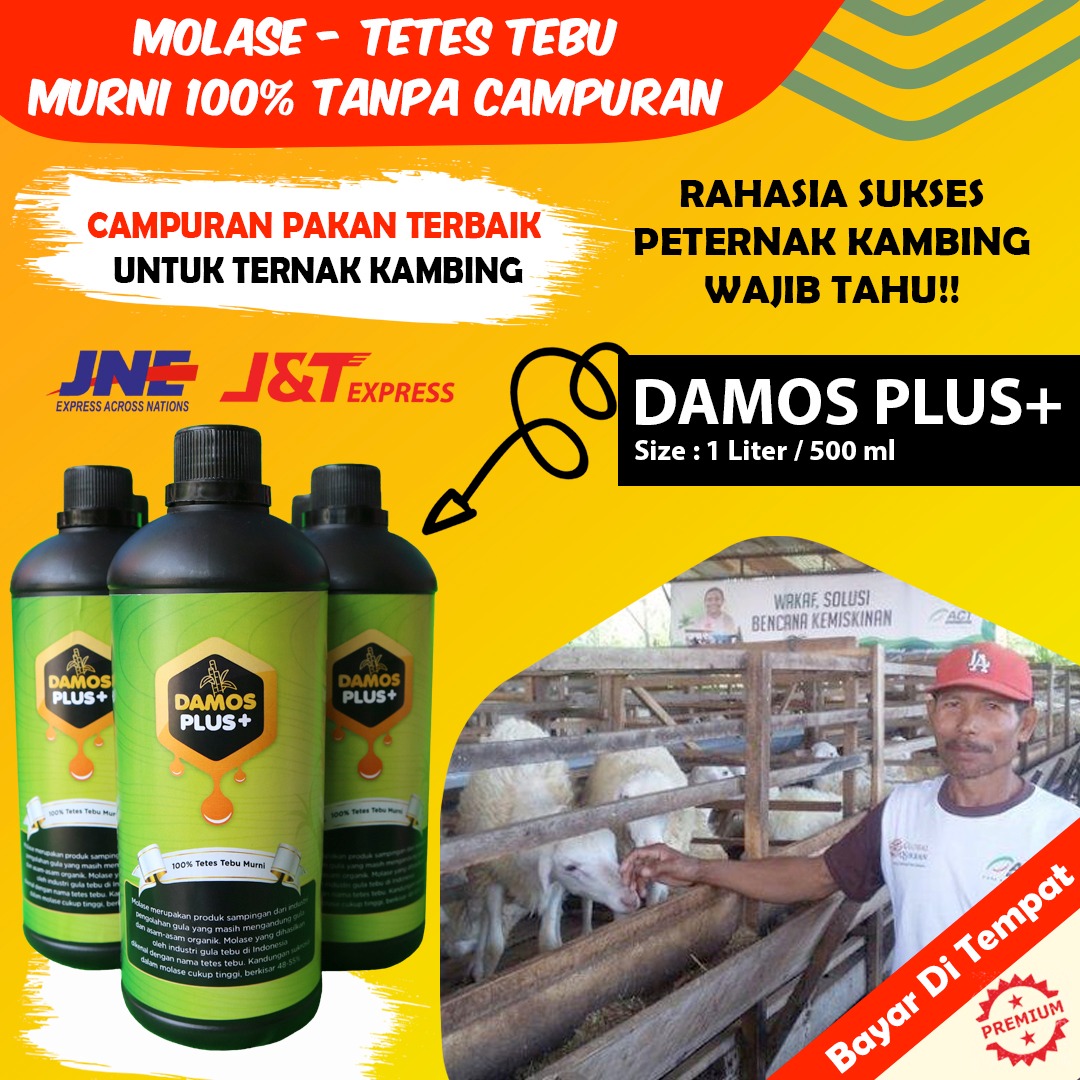 Terampuh Penggemuk Hewan Dan Ikan Ternak Molases Tetes Tebu Damos Plus Penggemuk Semua Hewan Ternak Probiotik Ikan Cupang Penggemuk Kambing Sapi Ayam Kelinci Ikan Dll Vitamin Damos Tetes Tebu Terampuh Penggemuk Hewan Dan Ikan Ternak Molases Tetes Tebu Damos Plus Penggemuk Semua Hewan Ternak Probiotik Ikan Cupang Penggemuk Kambing Sapi Ayam Kelinci Ikan Dll Vitamin Damos Tetes Tebu