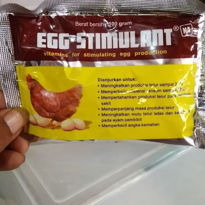 Obat untuk memperbesar telur ayam petelur