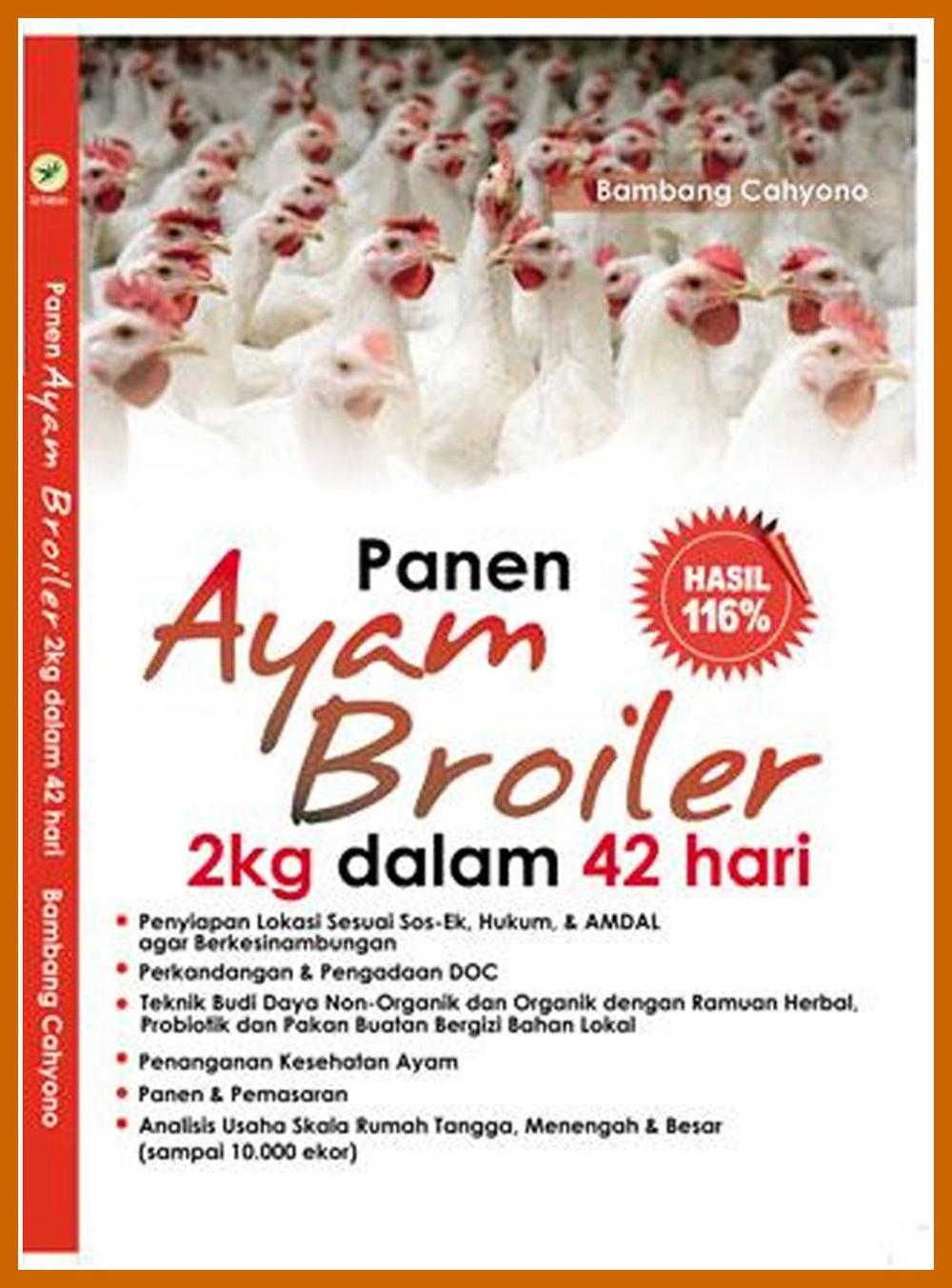 Panen Ayam Broiler 2 Kg Dalam 42 Hari