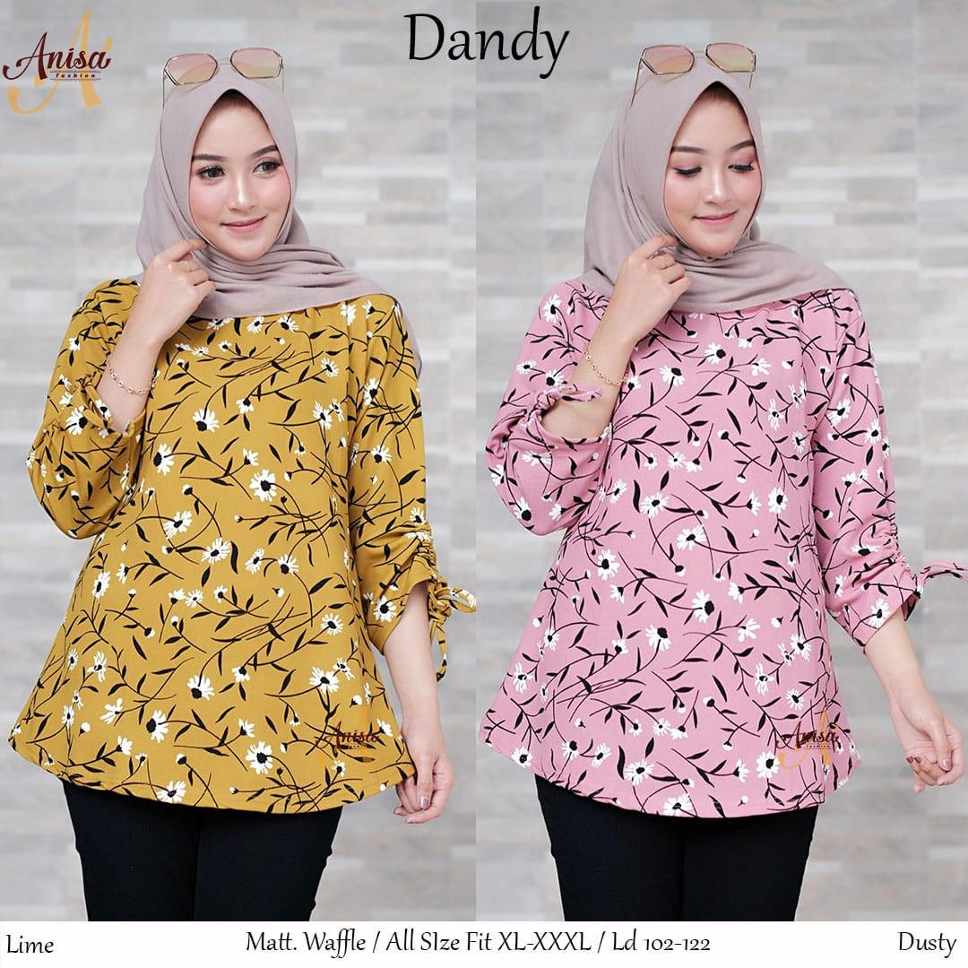 Ready Stock Fashion Muslim Atasan Wanita DANDY