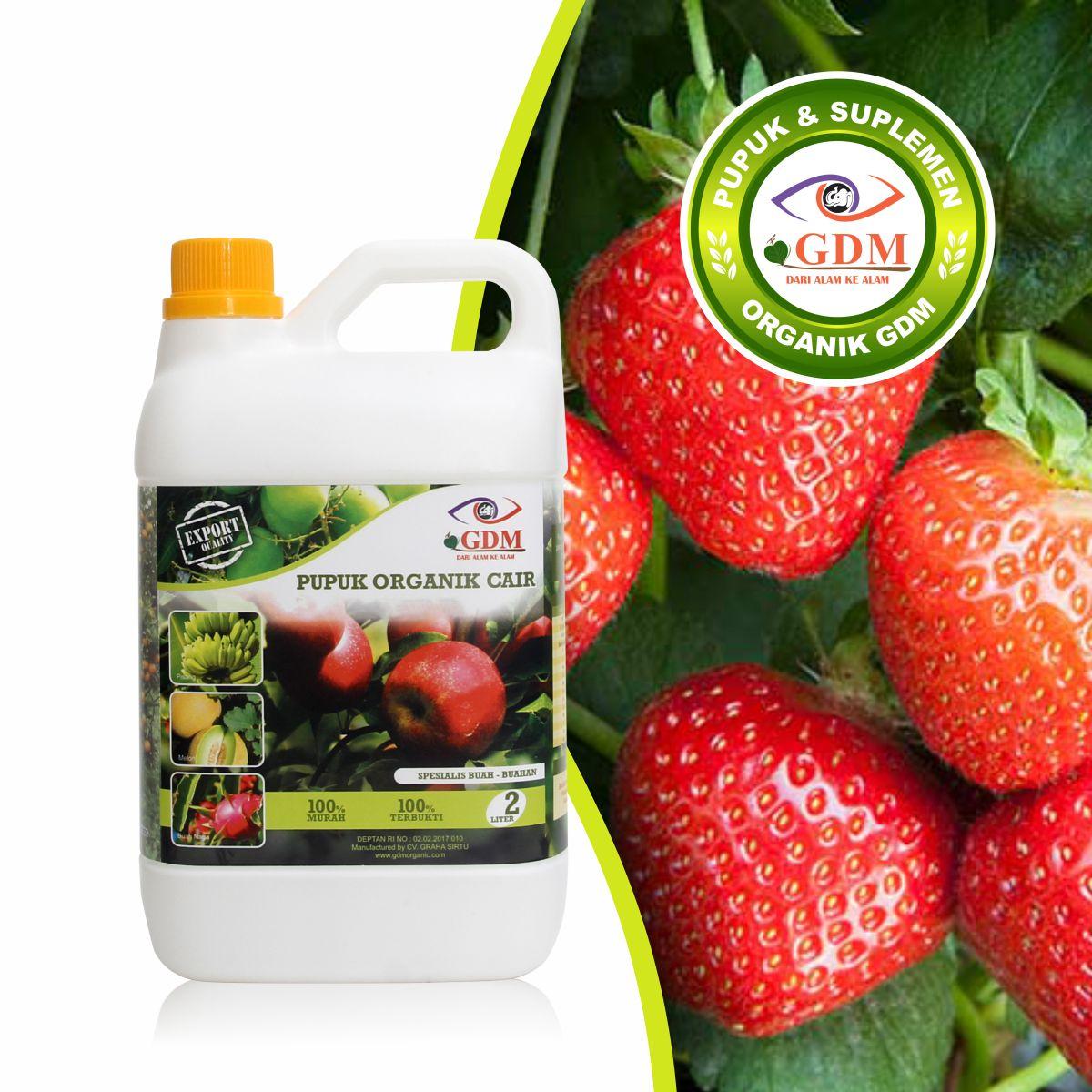 Best organic fertilizer for Strawberry 2liter Lazada
