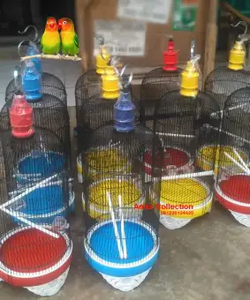 Tebok Sangkar Lovebird Pvc Warna Lazada Indonesia