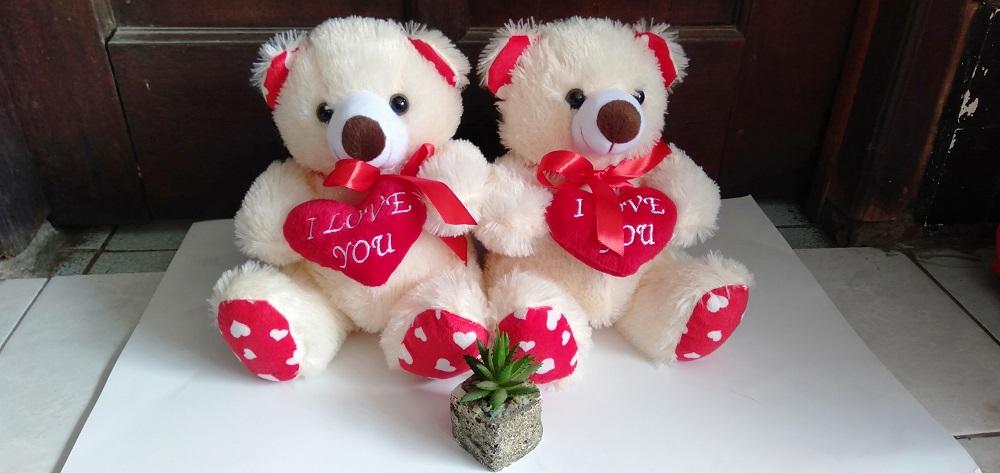 Boneka Teddy Bear Murah Meriah | Lazada 