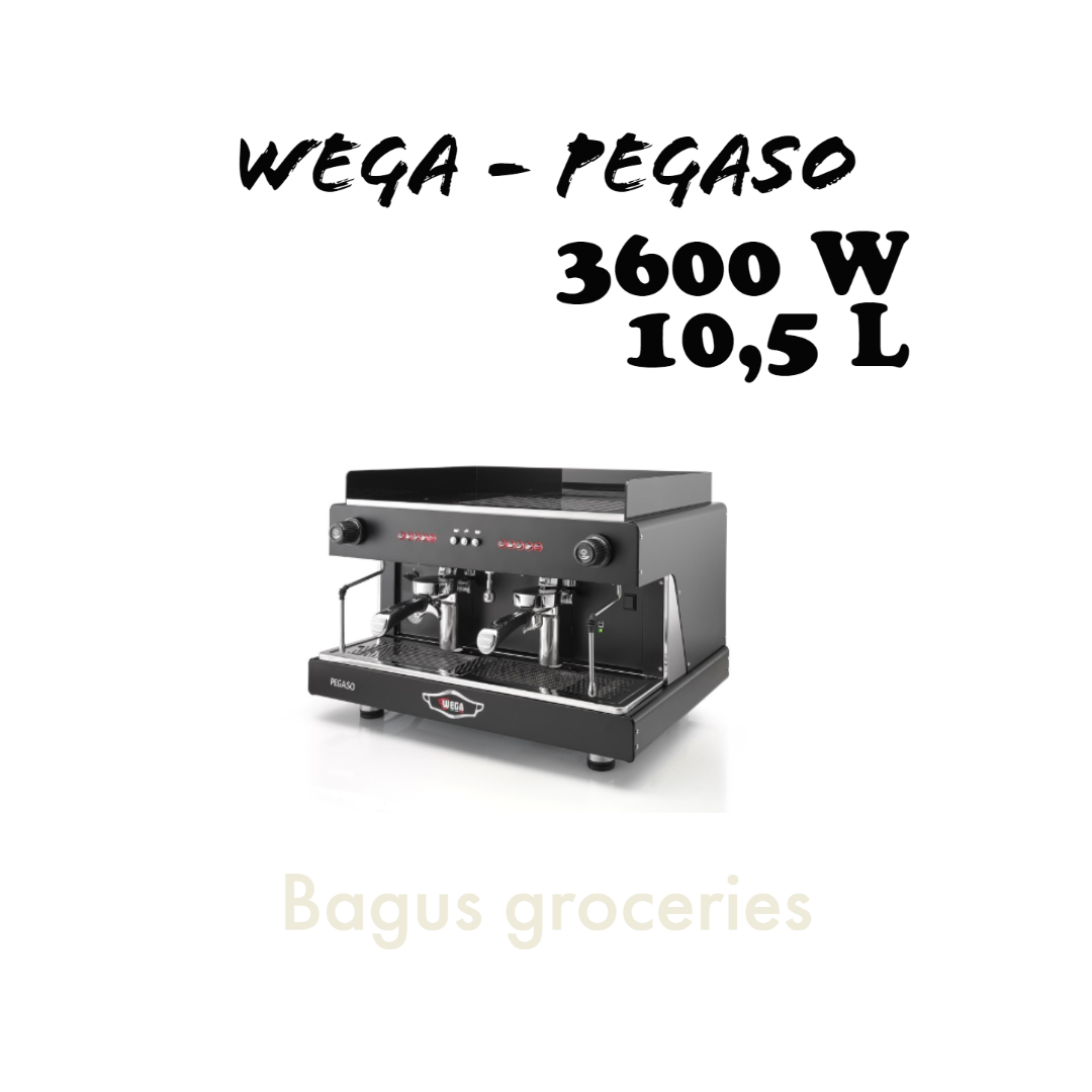 WEGA PEGASO coffee machine mesin kopi 2 groups Lazada Indonesia