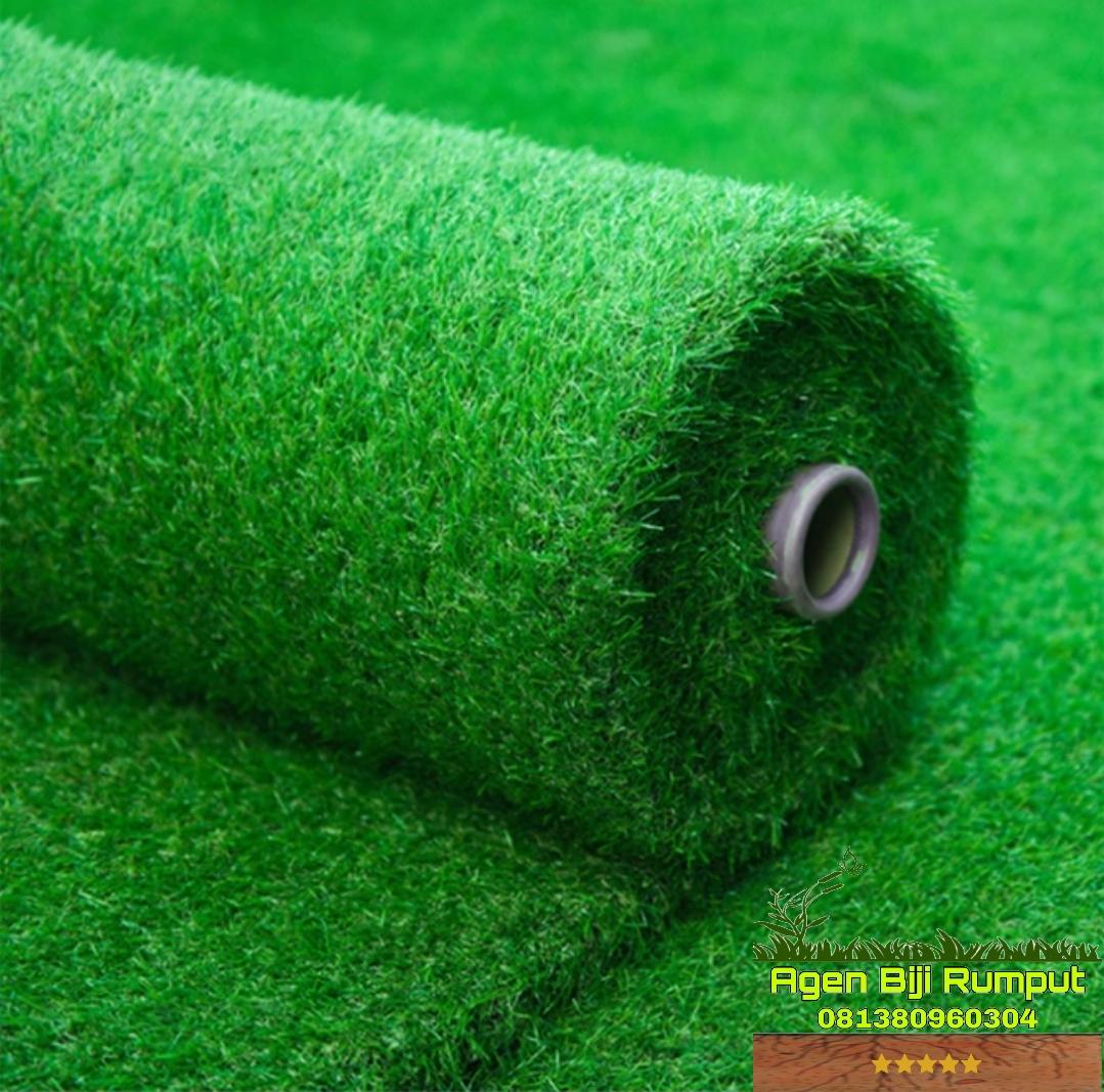 Texture Karpet Rumput karpet rumput sintetis swiss 250cmX100cm | Lazada Indonesia
