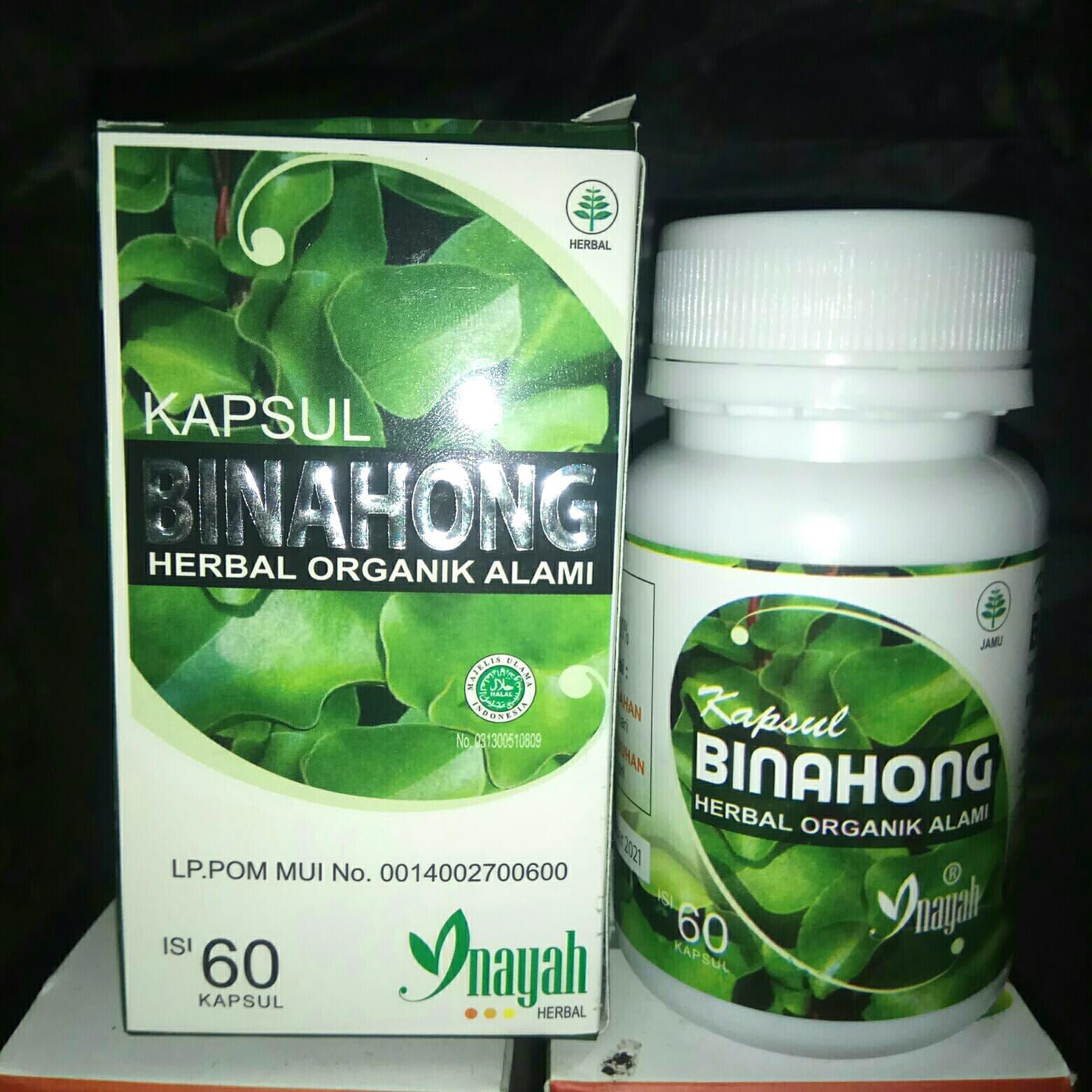 Kapsul Binahong 100% AMPUH / Isi 60 Kapsul / Obat Herbal Nyeri Sendi / Obat Asam Urat / Obat Rematik / Obat Paru / Obat Pasca Operasi / Kapsul Binahong MURAH / Obat Rematik MURAH / Penghilang Nyeri Sendi / Obat Pasca Operasi Paling AMPUH / Asli 100 %