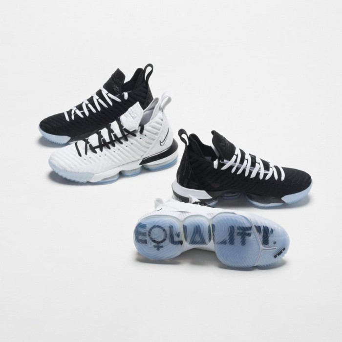 lebron equality black and white