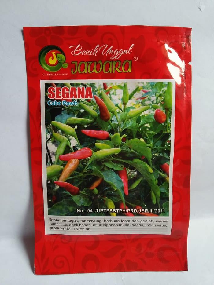 BEST SELLER Benih Bibit Cabe Rawit Hijau SEGANA 5 Gram - EQTDxuJy