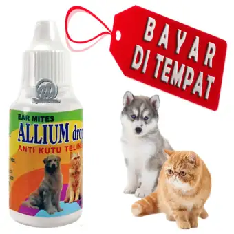 Obat Tetes Kutu Telinga Kucing Anjing Lazada Indonesia
