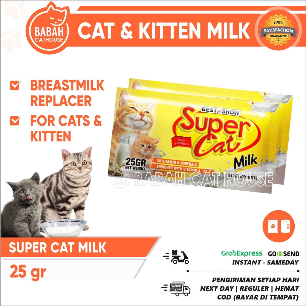 BEARING CAT MILK Milk Replacer For Growing Kittens Shopee Philippines ...