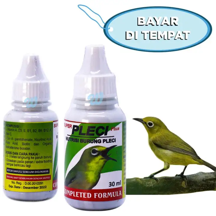 Vitamin Burung Pleci Super Pleci Lazada Indonesia