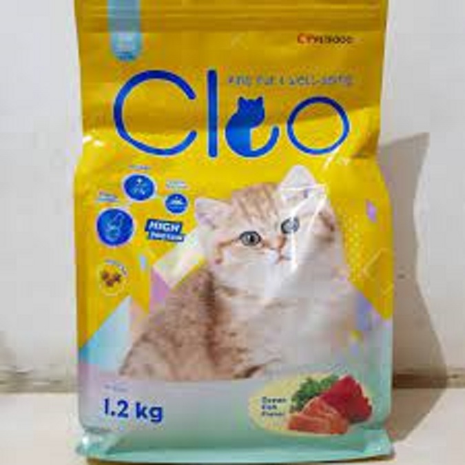 cleo kitten ocean fish