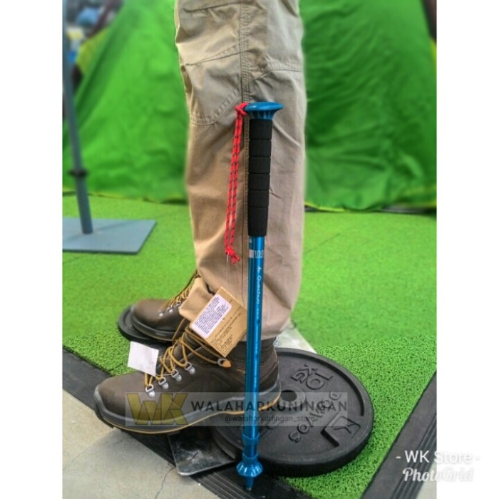Flash Sale Trekking Pole Quechua Arpenaz 100 Hiking Pole Promo Lazada